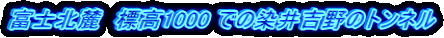 xmk[@W1000 ł̐g̃gl